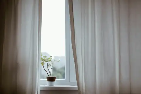 Curtains: potted plant on window with curtain