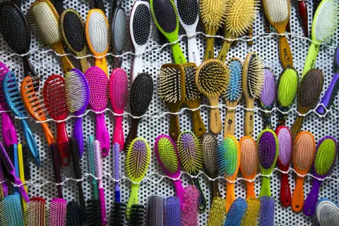 Combs & grooming: a bunch of different colored brushes hanging on a wall
