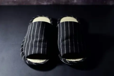 Slippers: a pair of socks