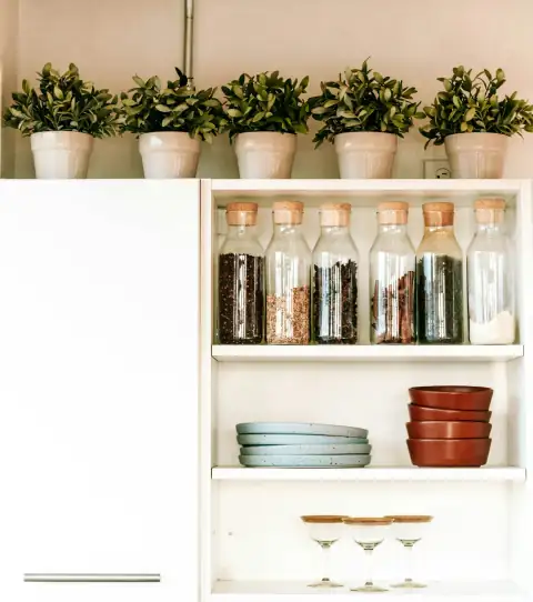 Containers & jars: a kitchen shelf filled with dishes and plants
