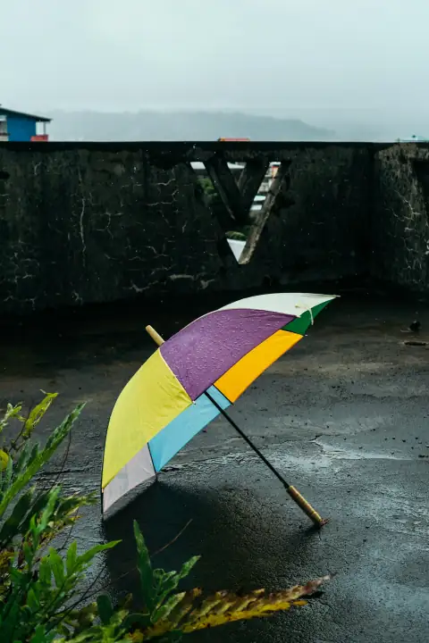 Umbrellas: a colorful umbrella sitting on top of a wet ground