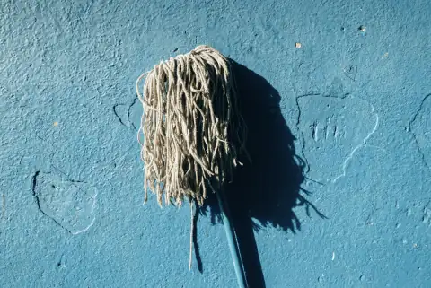 Mops: blue and black paint on blue wall